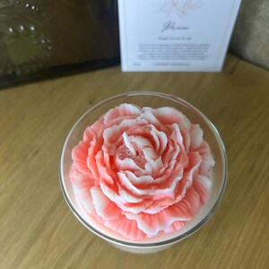 Bougie Pivoine